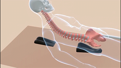 spynamics cranio sacral animation gif