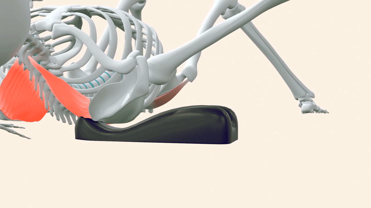 sacro aligner triggerpoint movement shoulder gif