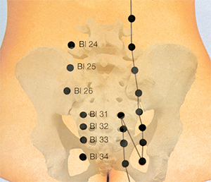 bladder meridian pelvis area