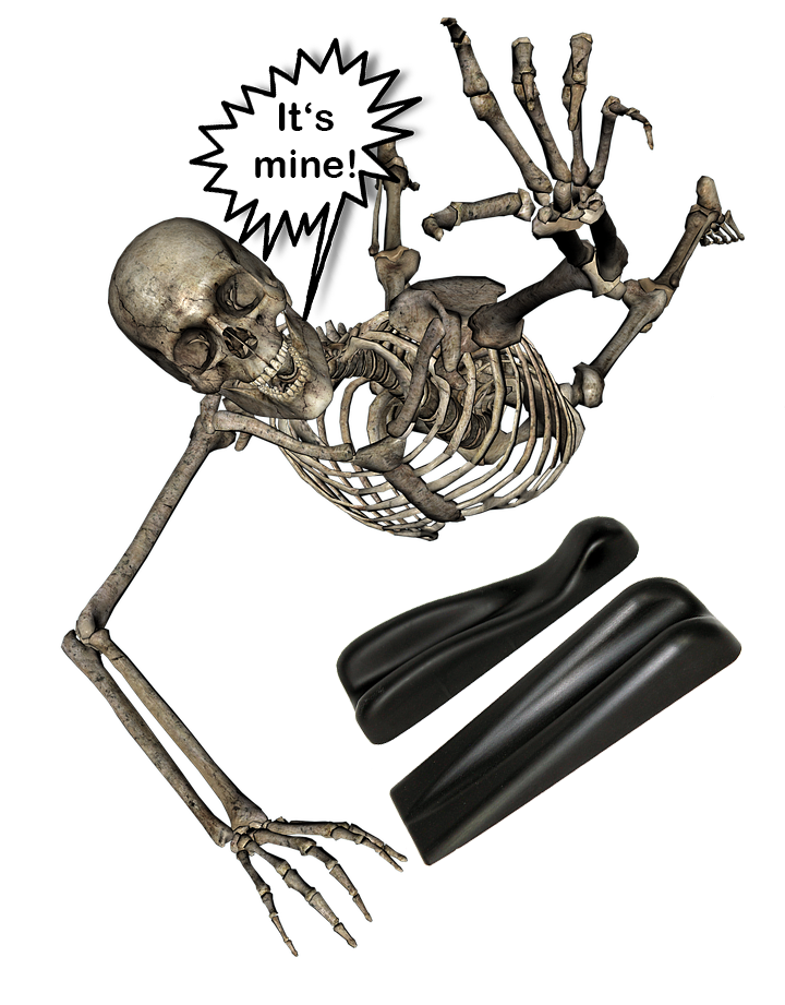 skeleton grabbing spynamics